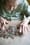 Compassion 2011? King County gives landslide approval to vets levy