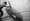 In 1931, an orca swam to Portland — and caused a stir