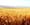 No drought here: Palouse is an agricultural wonderland