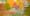 ArtSEA: Northwest art blooms abstract for the spring equinox