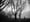 ArtSEA: 10 photo shows that bring light to Seattle’s dark days