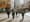 Harrell bill would let more business types set up shop Downtown