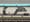 ArtSEA: All aboard for art at Sound Transit’s new East Link