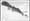 ArtSEA: A peek into Seattle’s past via 60K newly digitized photos
