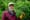 Should WA’s foresters harvest timber or sell it for carbon credits?