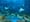 ArtSEA: Seattle Aquarium’s Ocean Pavilion swims with Native art