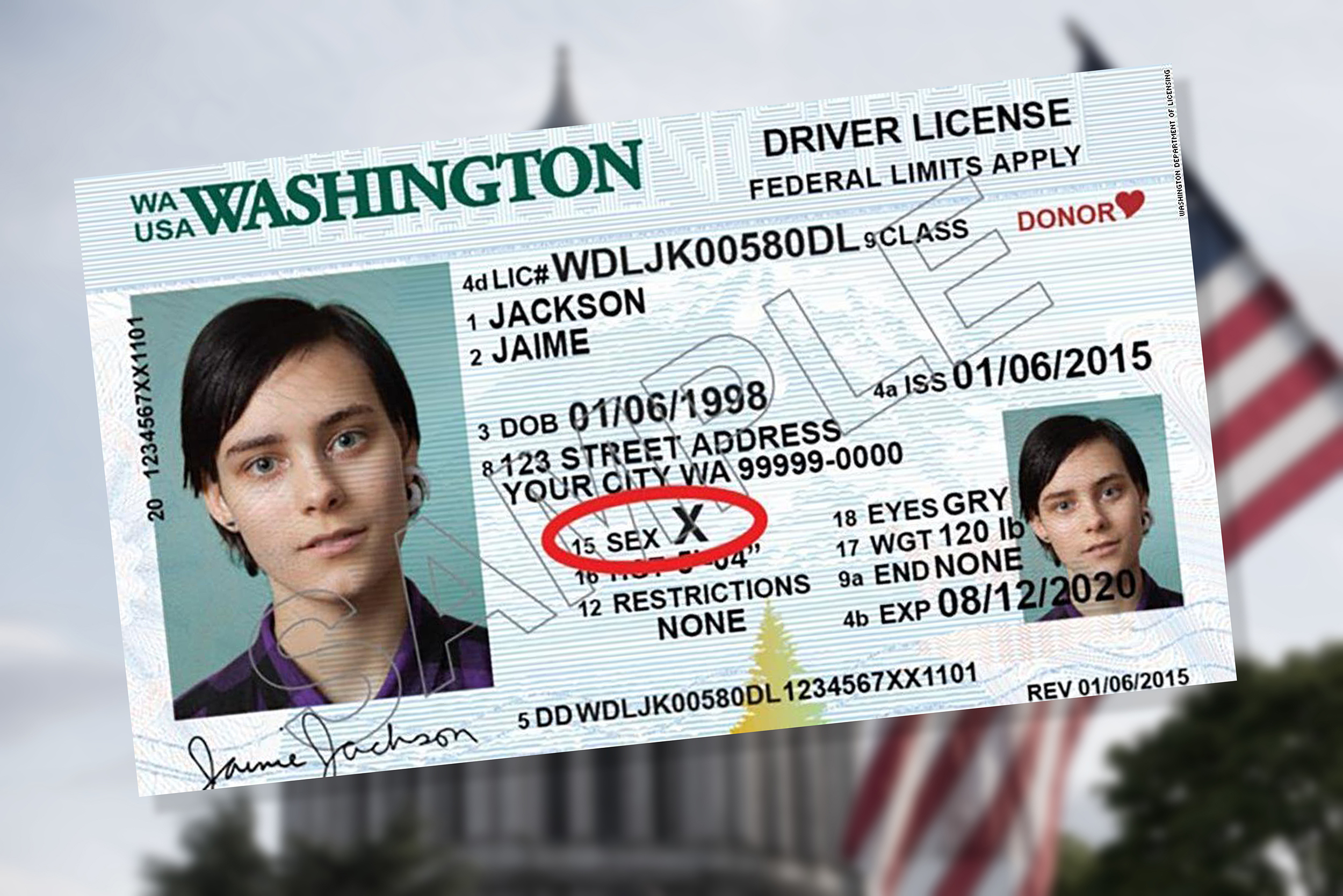 This image has been removed. For security reasons, only images from the local domain are allowed. Image removed.