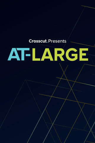 poster for at-large