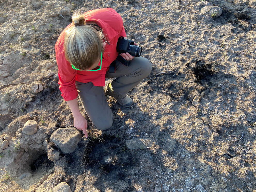 Scientist pointing at plants