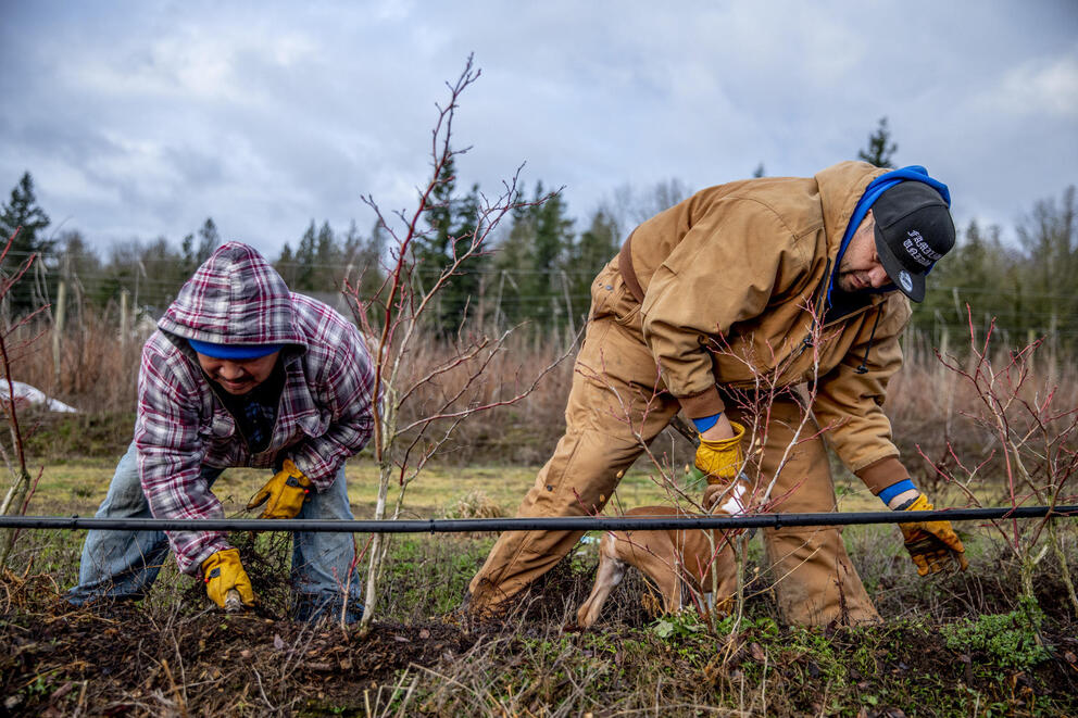 Two men working on a farm