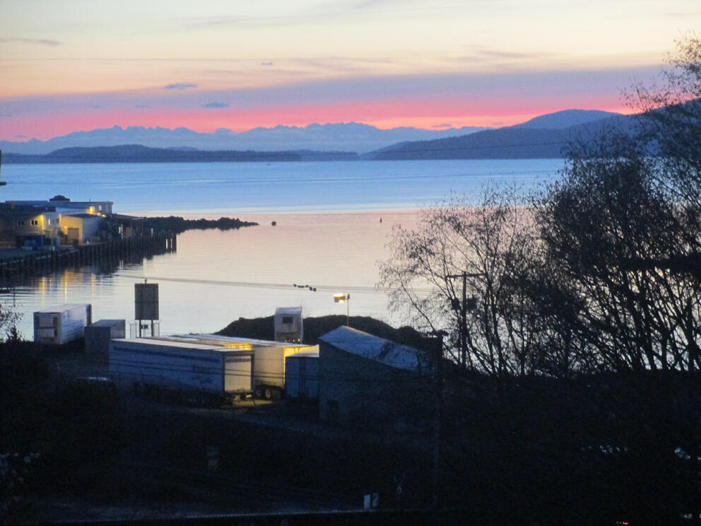 Bellingham Bay