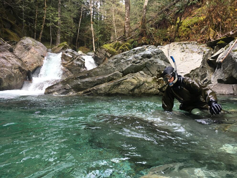 A diver in a rocky river