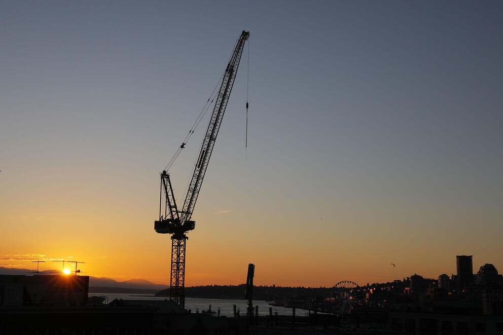 Silhouette of a crane