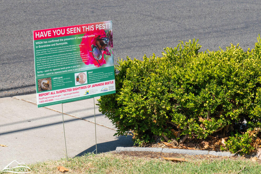 Sign about invasive beetle species 