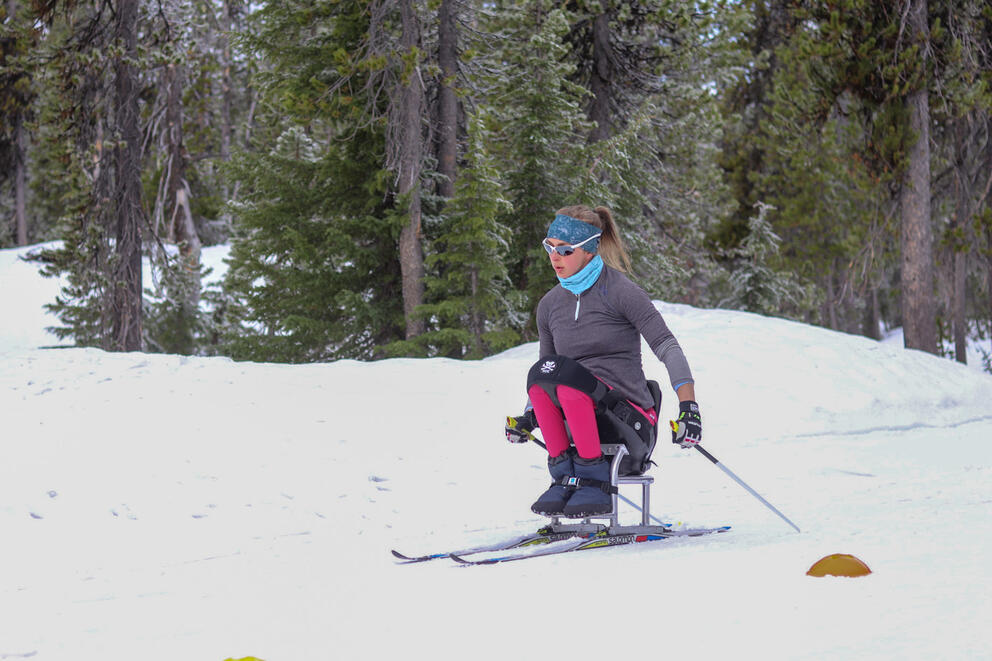Erin Martin, wearing pink pants and sitting in a paraski moves across the snow, trees line the background