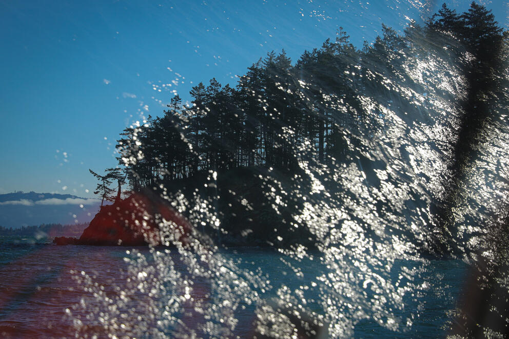 Water is reflected on a glass window through which a tree lined island is visible