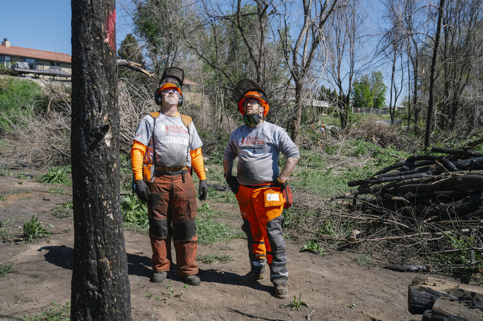 Team Rubicon sawyer volunteers make a plan to cut down a tree