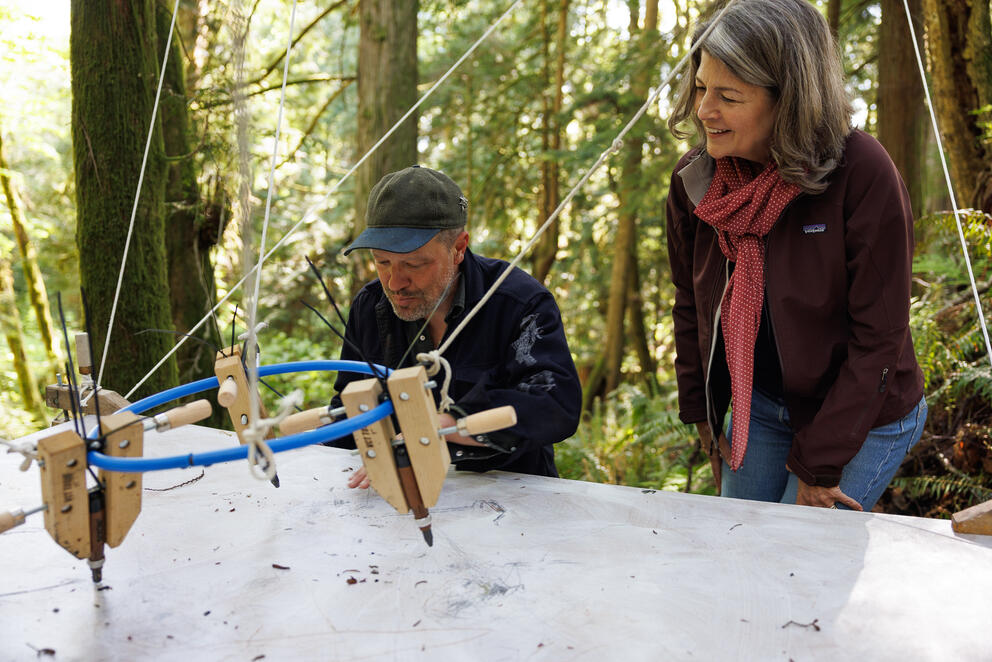 photo of a man and woman in the woods looking at a blank white canvas hanging from the trees