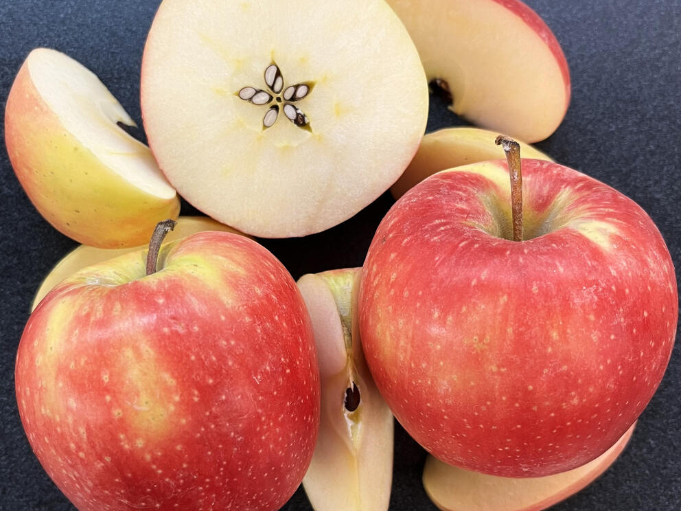 WA 64 apple