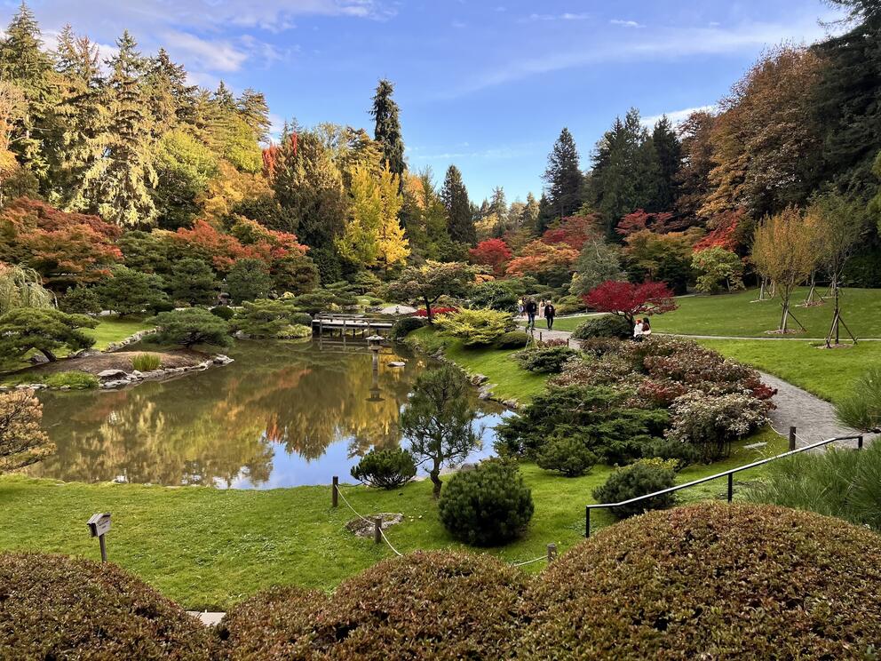 photo of a Japanese garden with pond at center and maples in fall colors all around