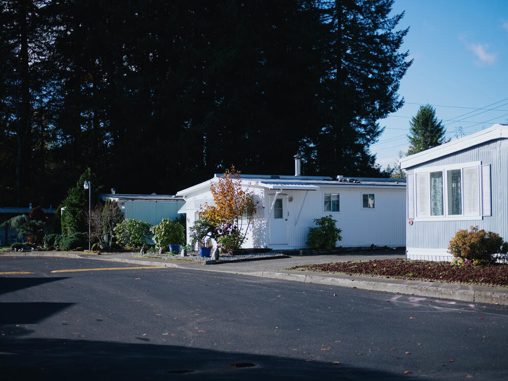Three mobile home sit along a sunlit street with trees in the background