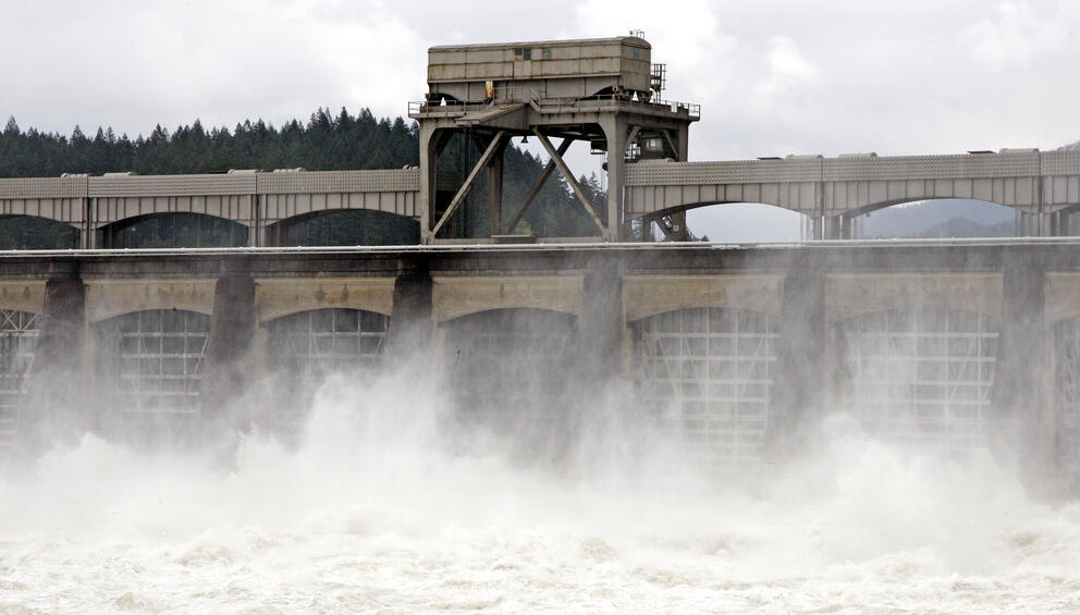 Water falls through a majestic dam