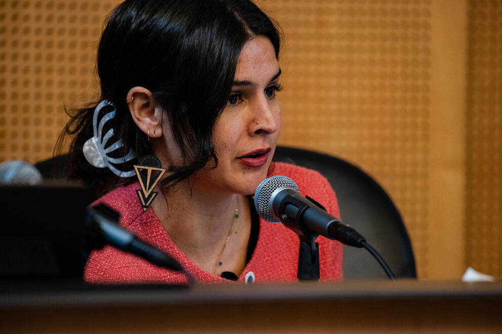 a woman in a pink sweater speaks into a microphone at her desk